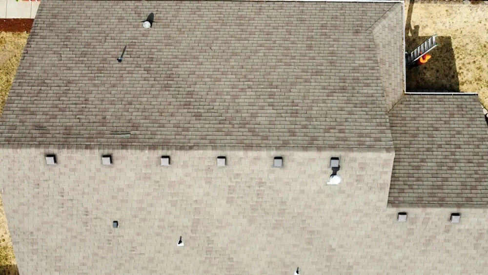 Slide of Monkey Roofing