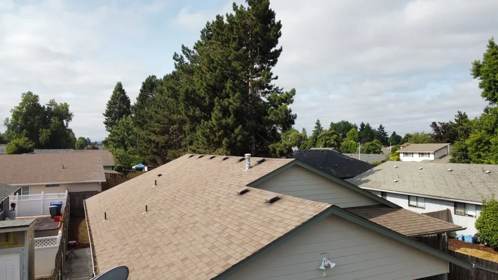 Slide of Monkey Roofing