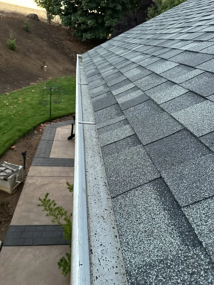 Slide of Monkey Roofing