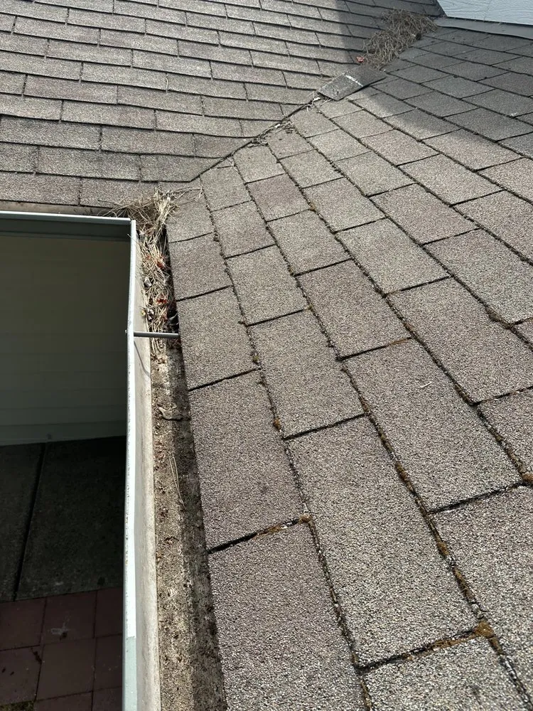 Slide of Monkey Roofing