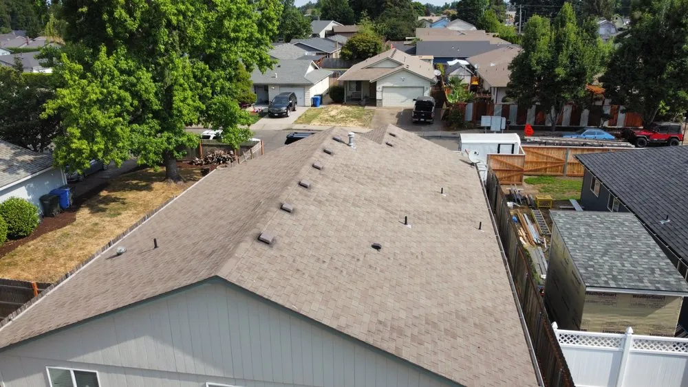 Slide of Monkey Roofing