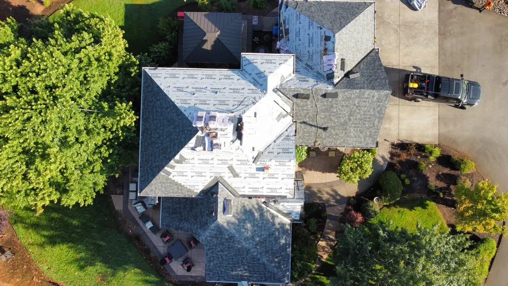 Slide of Monkey Roofing