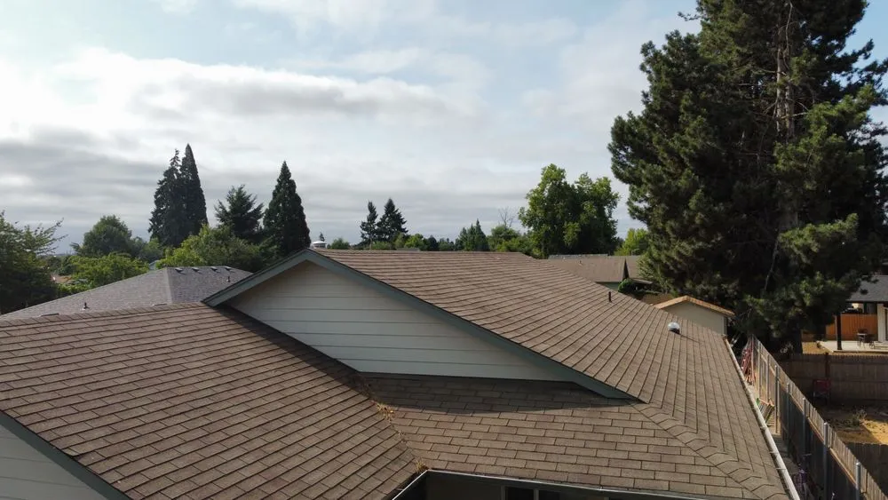 Slide of Monkey Roofing