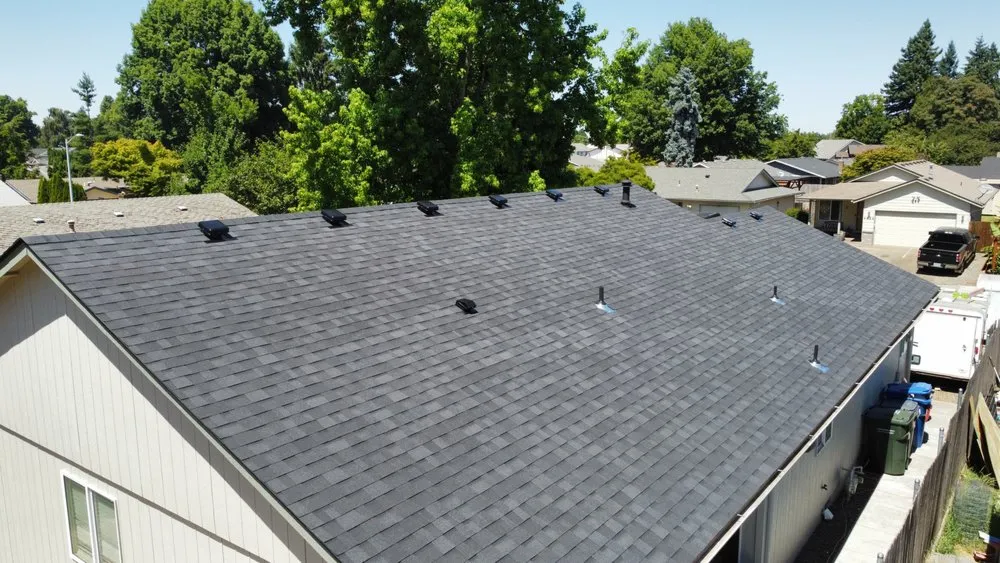 Slide of Monkey Roofing