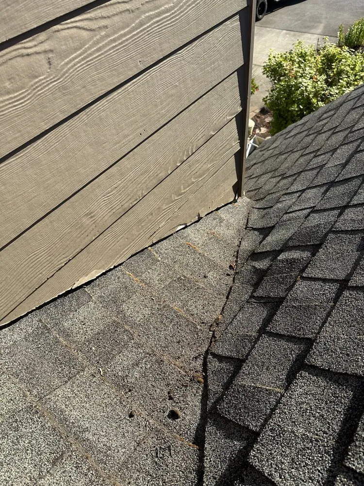 Slide of Monkey Roofing