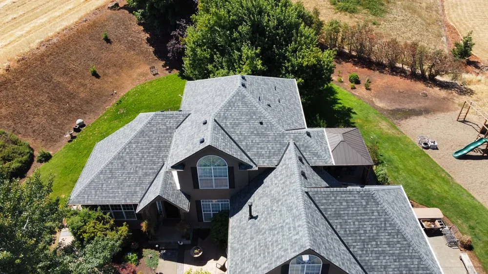 Slide of Monkey Roofing