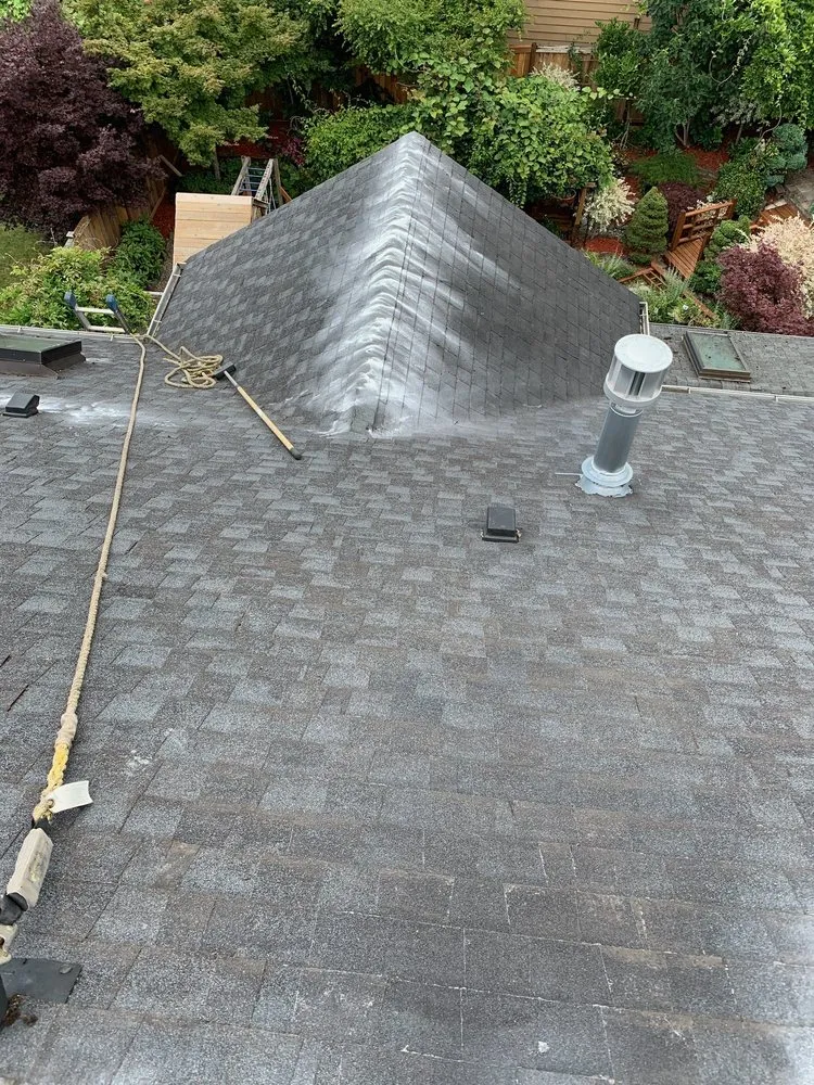 Slide of Monkey’s Services