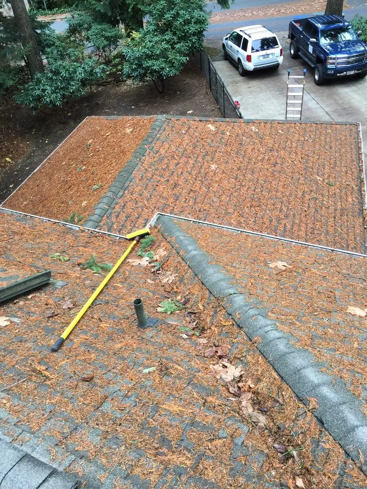 Slide of Monkey’s Services