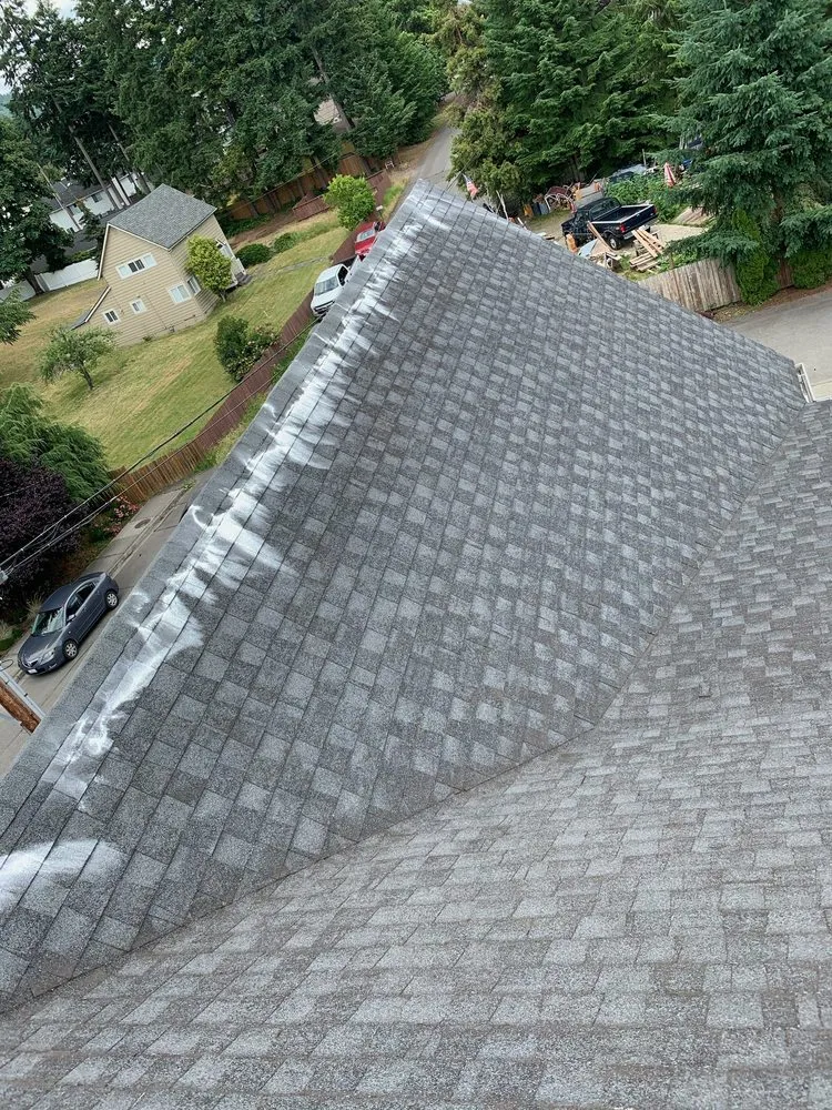 Slide of Monkey’s Services