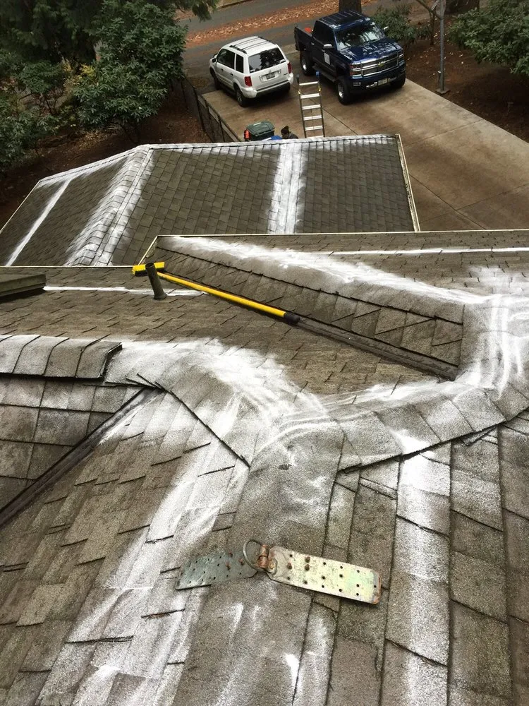 Slide of Monkey’s Services