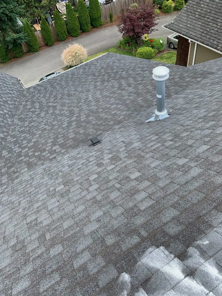 Slide of Monkey’s Services