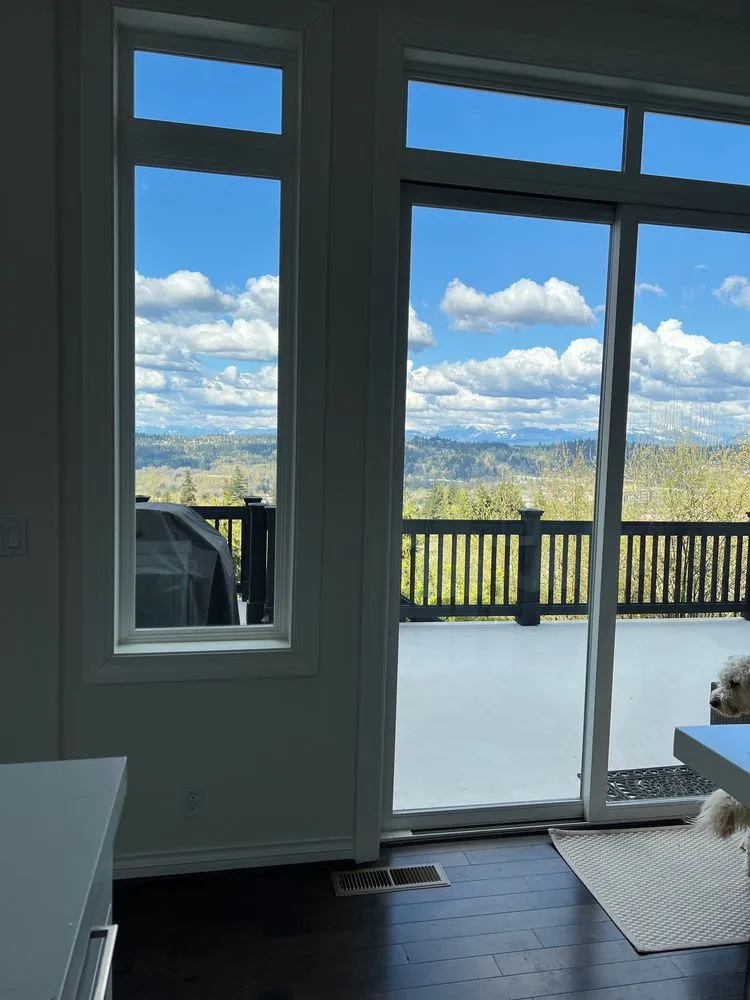 Slide of Monkey’s Services