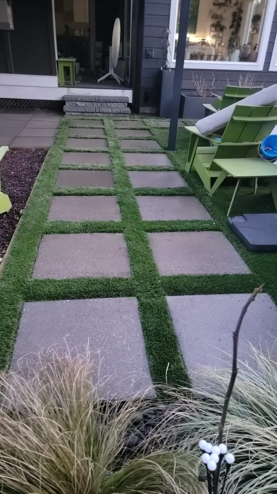 Slide of Monkey’s Services