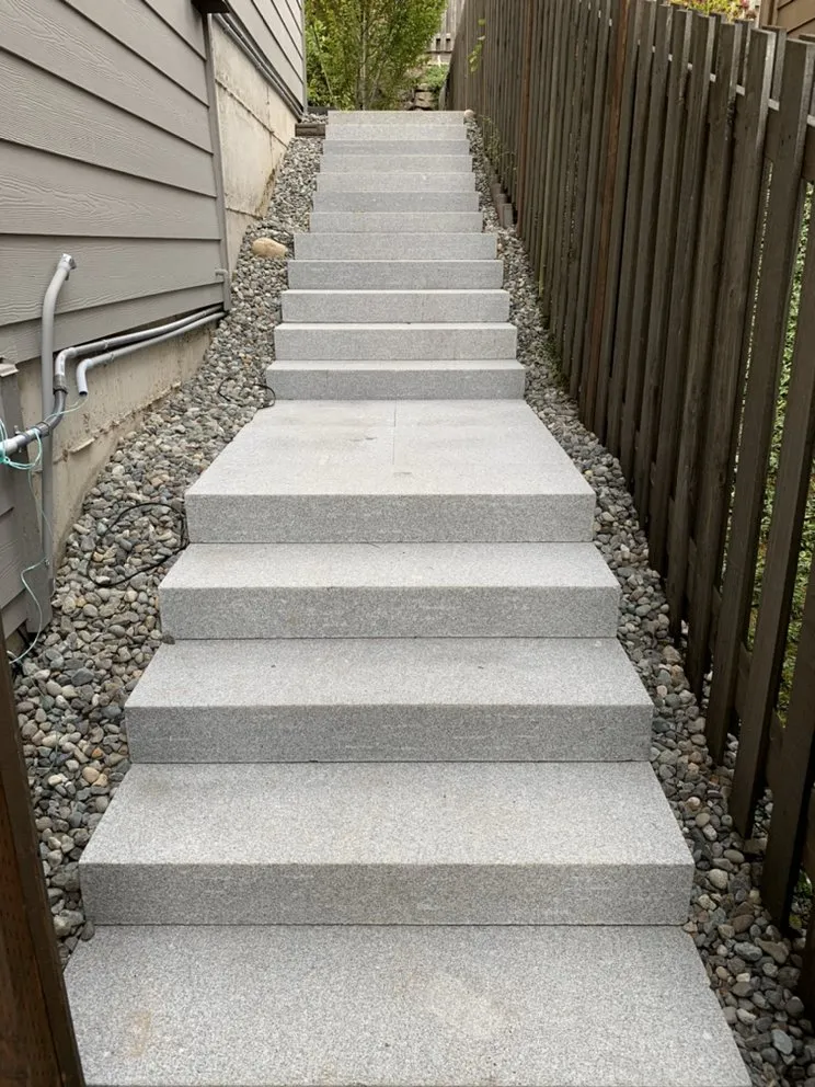 Slide of Monkey’s Services