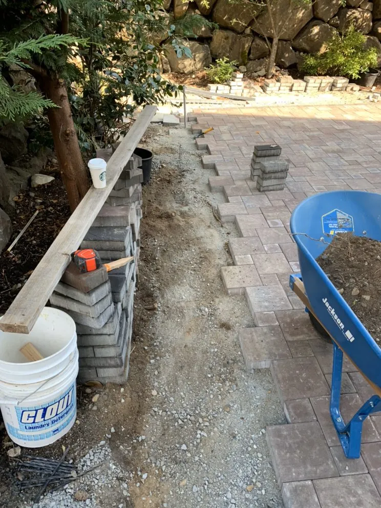 Slide of Monkey’s Services