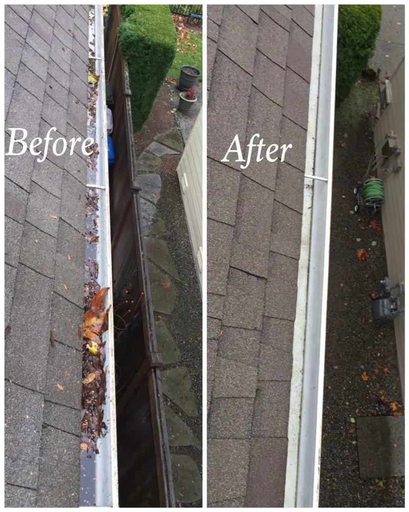 Slide of Monkey’s Services