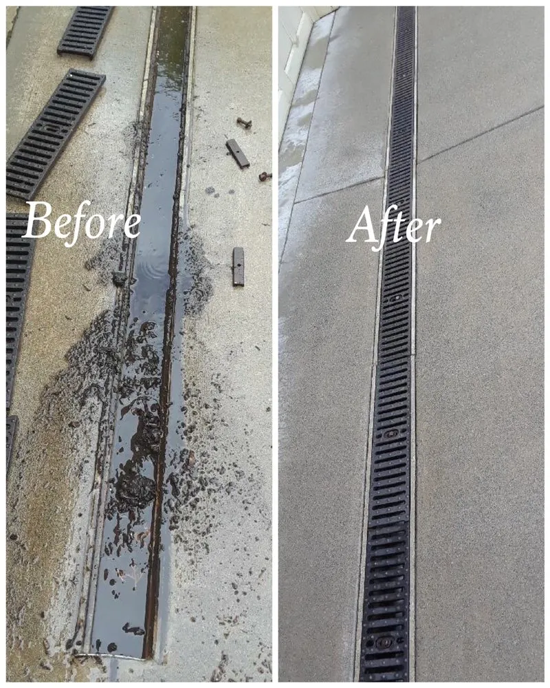 Slide of Monkey’s Services