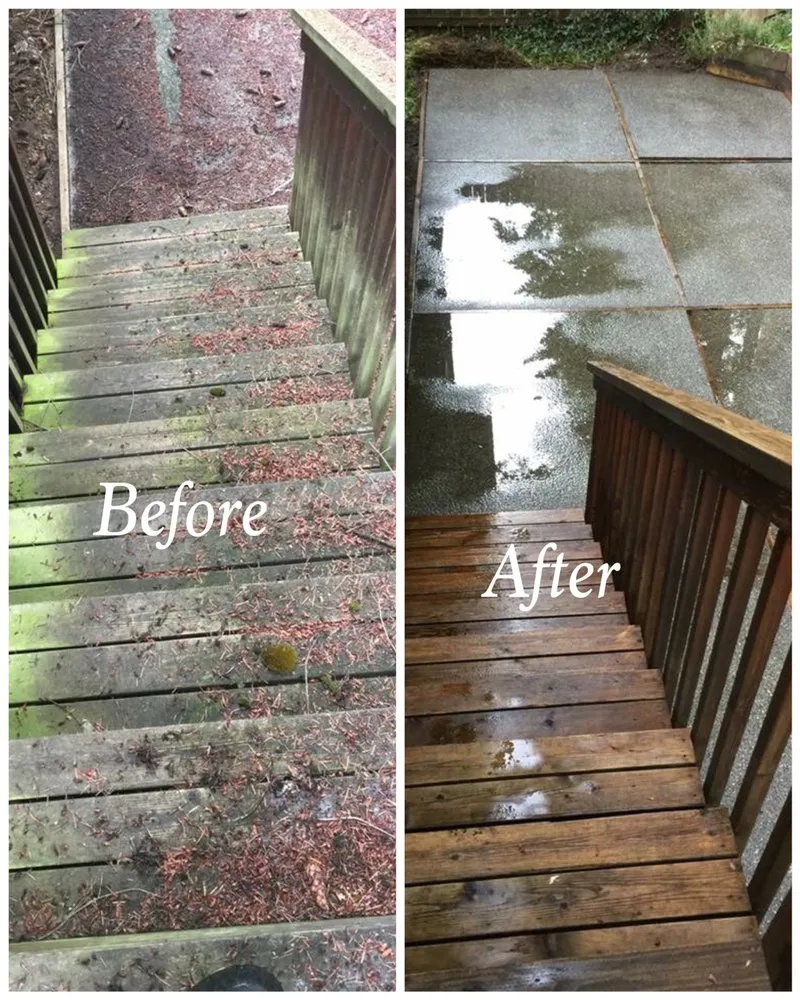 Slide of Monkey’s Services