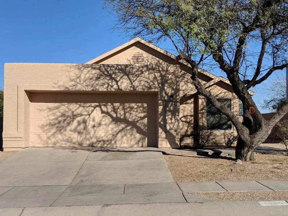 Slide of Monsoon Painting