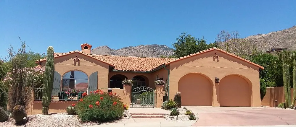 Slide of Monsoon Painting