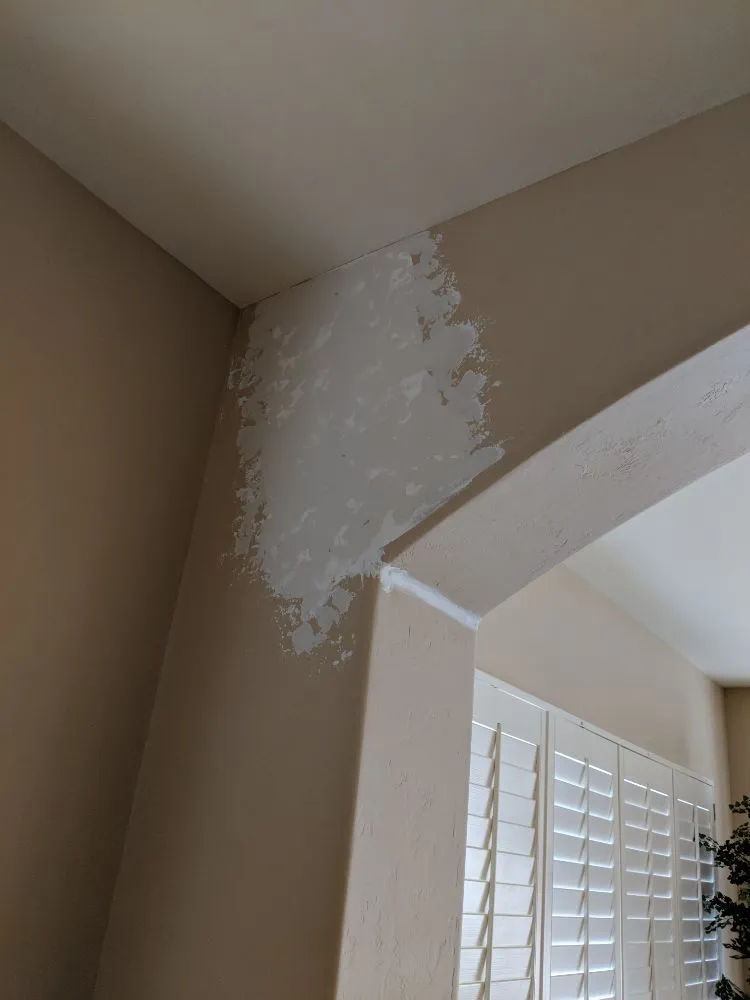 Slide of Monsoon Painting