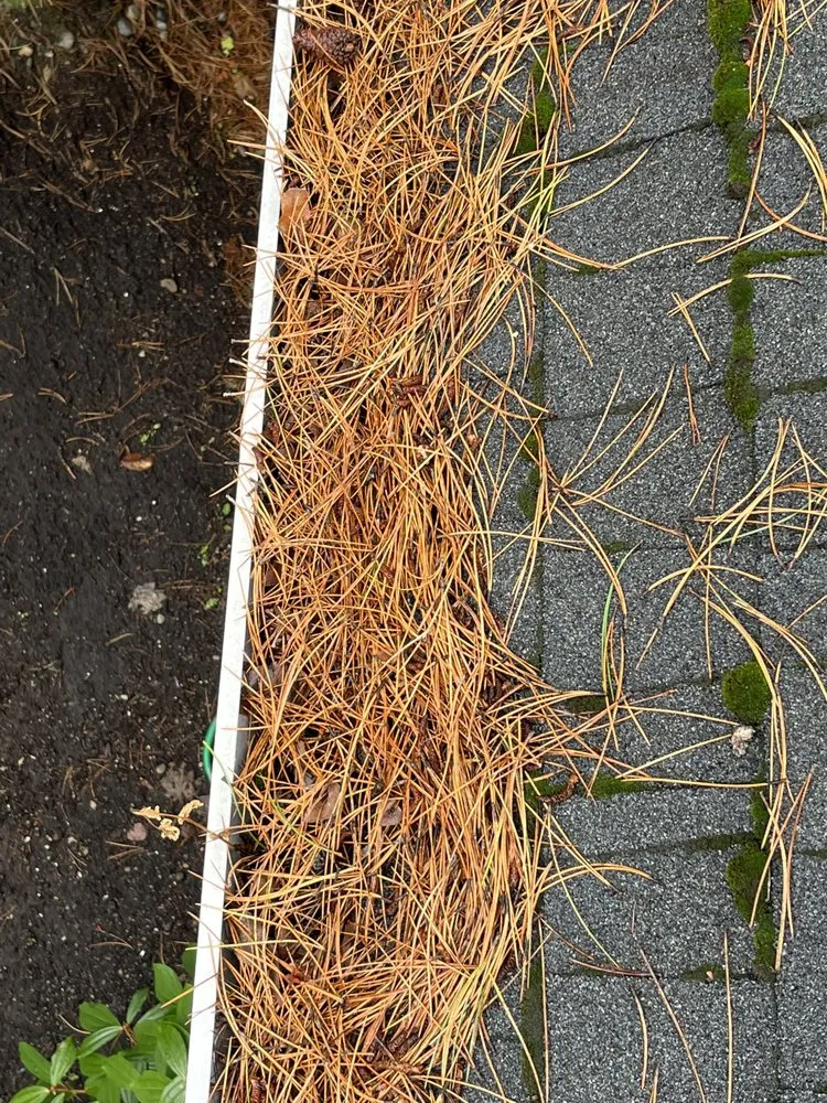 Slide of Monsoon Roofing & Gutter Pros