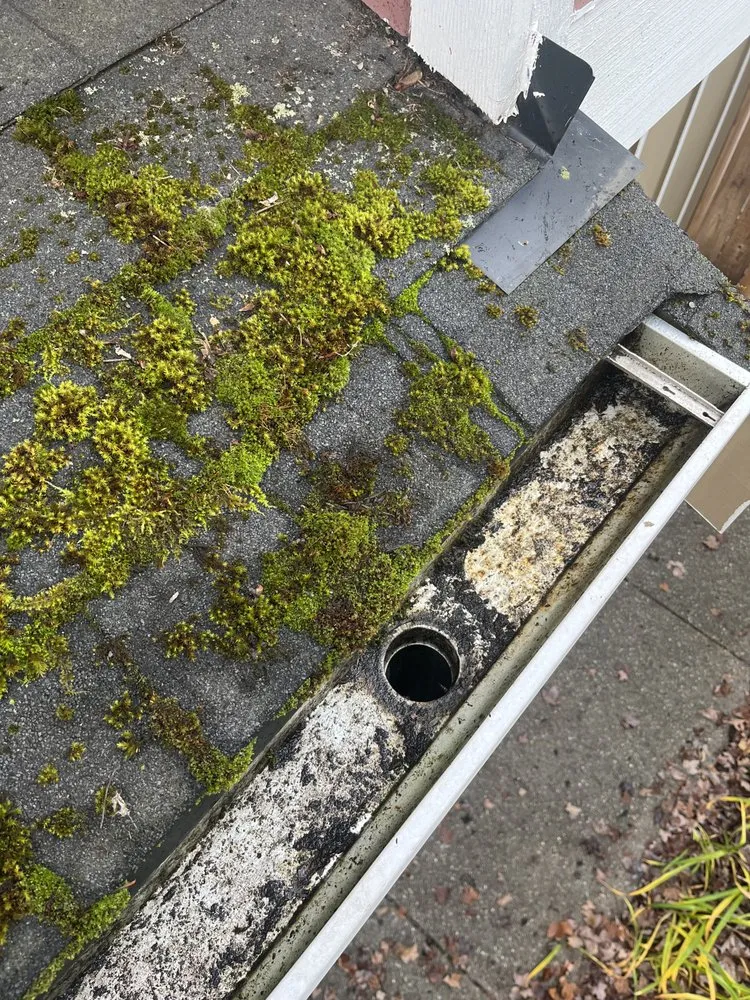 Slide of Monsoon Roofing & Gutter Pros