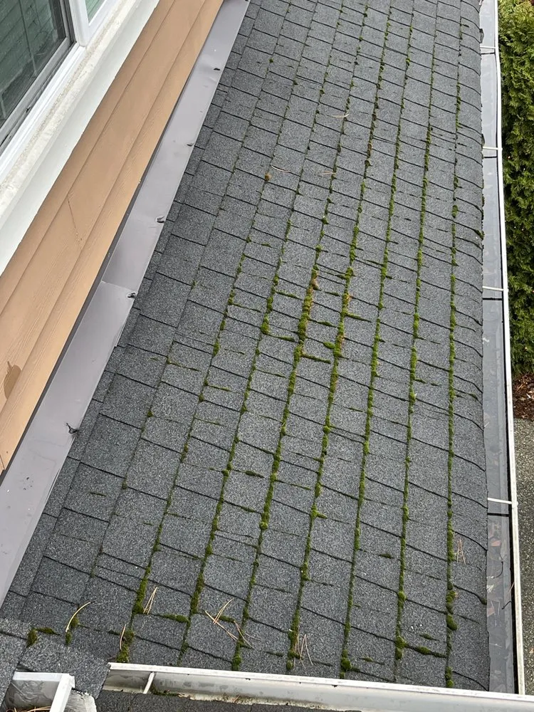 Slide of Monsoon Roofing & Gutter Pros