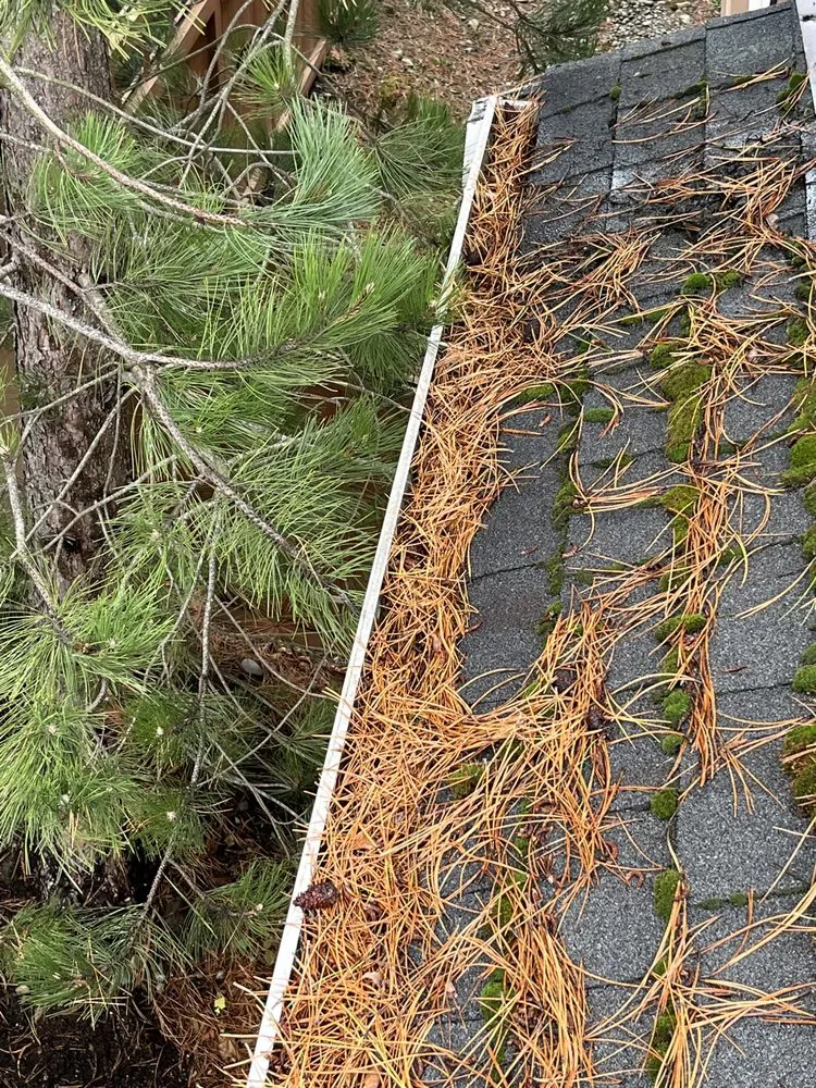 Slide of Monsoon Roofing & Gutter Pros