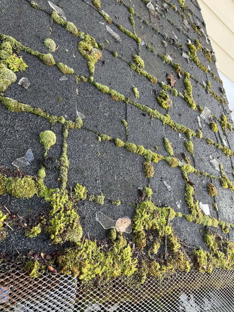 Slide of Monsoon Roofing & Gutter Pros