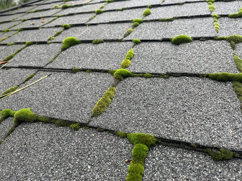 Slide of Monsoon Roofing & Gutter Pros