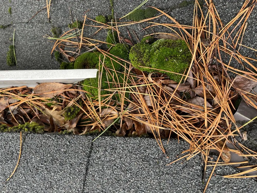 Slide of Monsoon Roofing & Gutter Pros