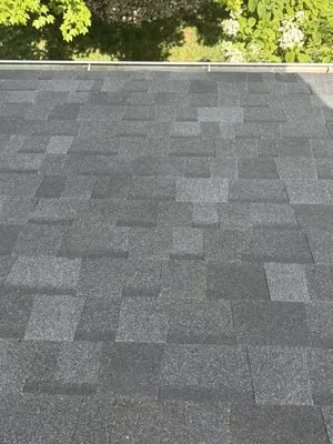 Monster Roofing and Construction