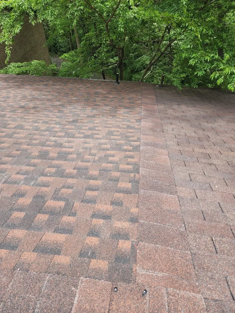 Slide of Monterroso Improvement