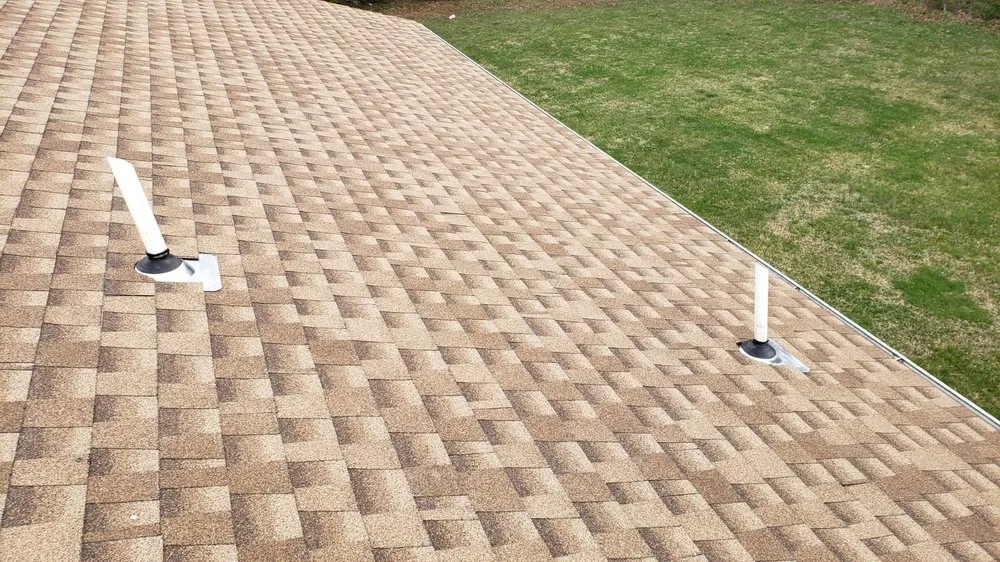 Slide of Monterroso Improvement