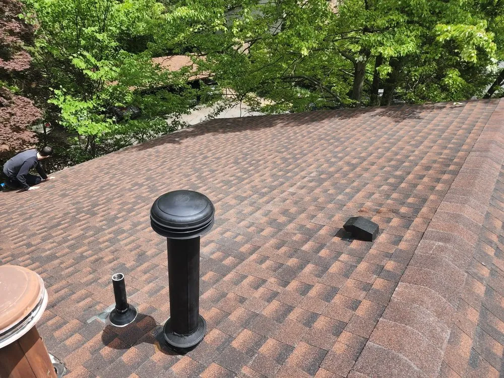 Slide of Monterroso Improvement