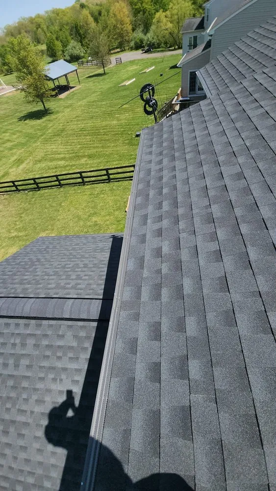 Slide of Monterroso Improvement