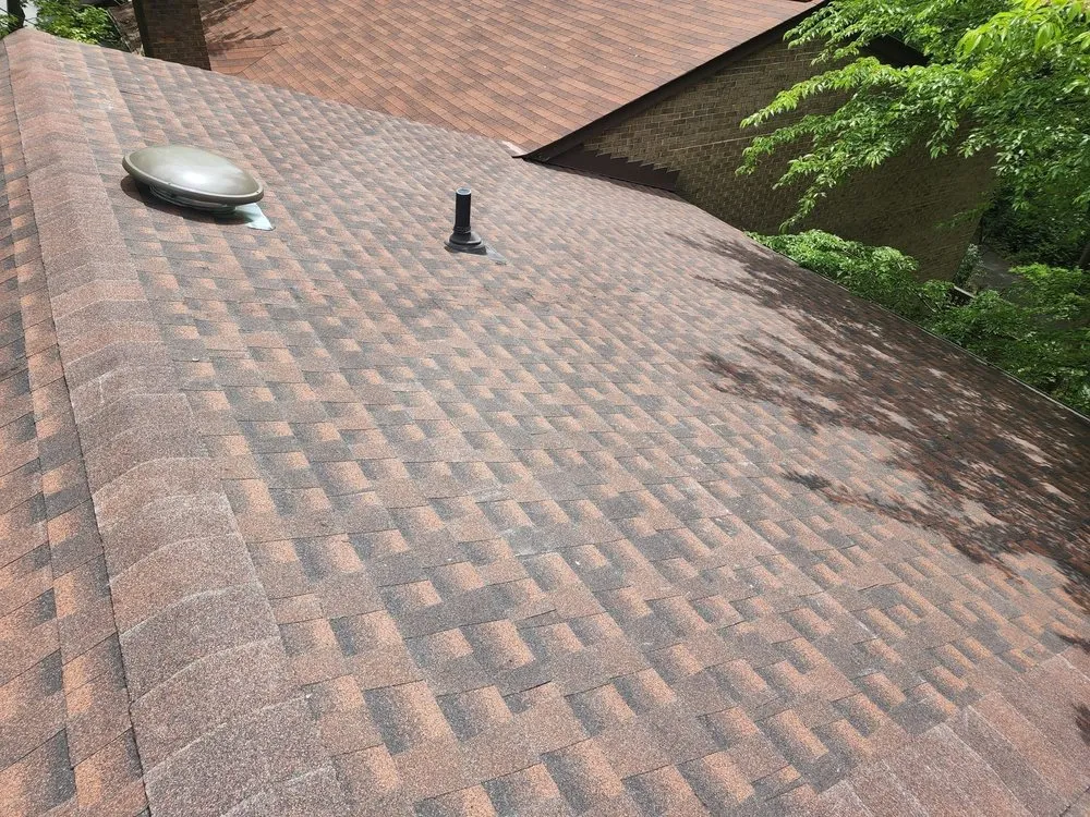 Slide of Monterroso Improvement