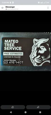 Montes Tree Service Logo