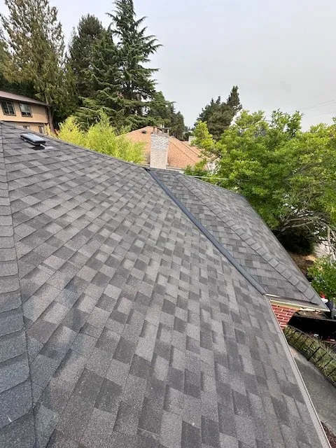 Slide of Monumental Roofing