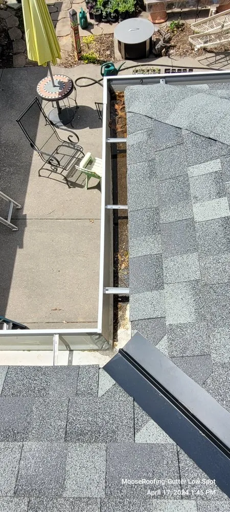 Slide of Moose Roofing