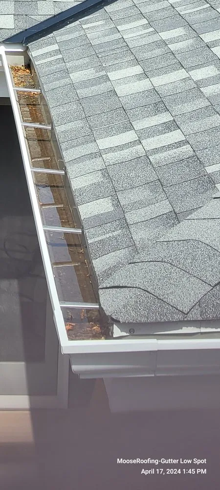 Slide of Moose Roofing