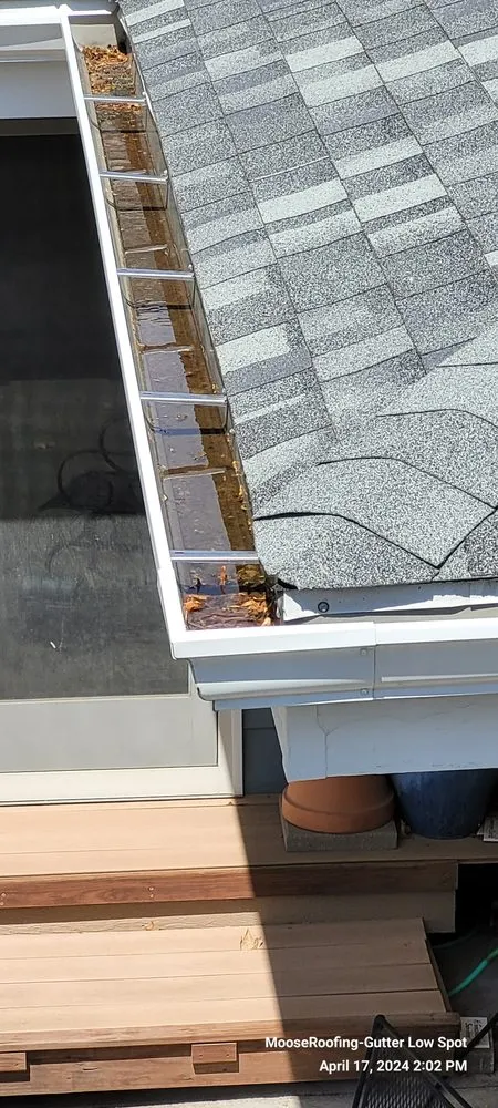 Slide of Moose Roofing