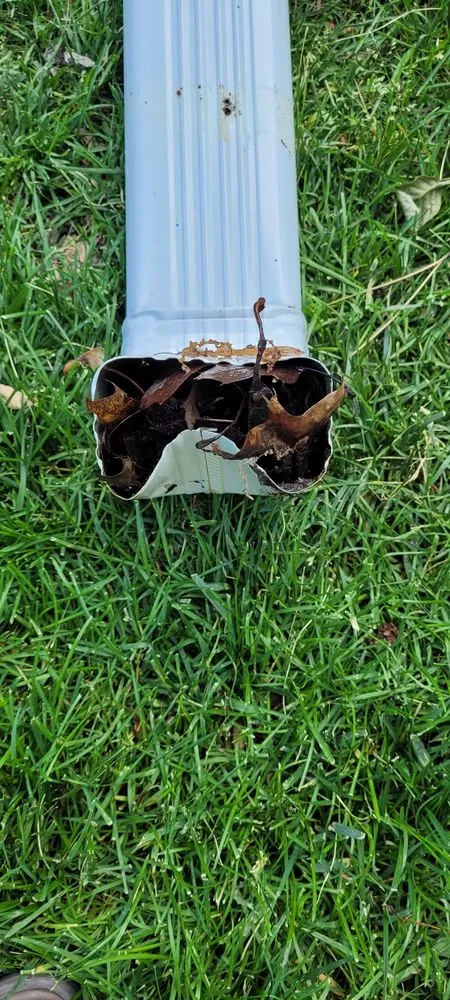 Slide of Moose Roofing