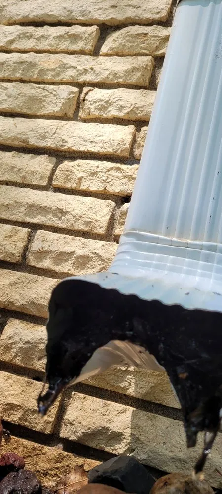 Slide of Moose Roofing