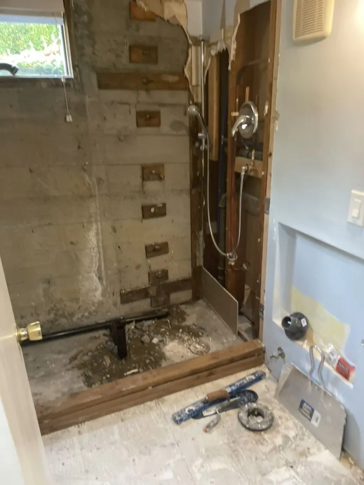 Slide of Mor Remodeling 