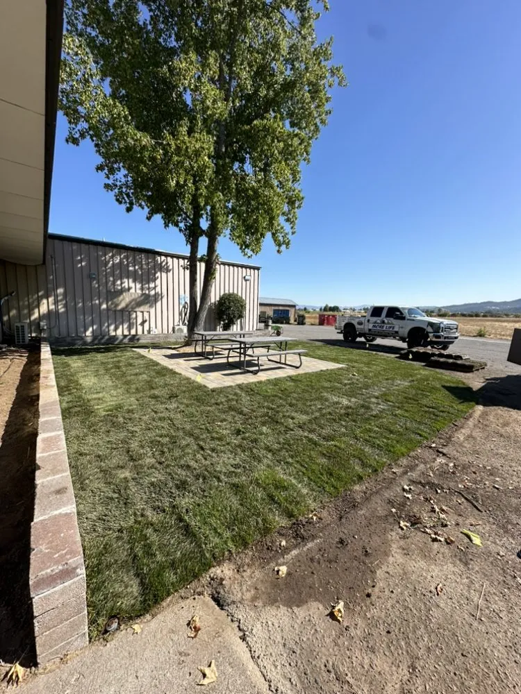 Slide of More life construction & Landscaping