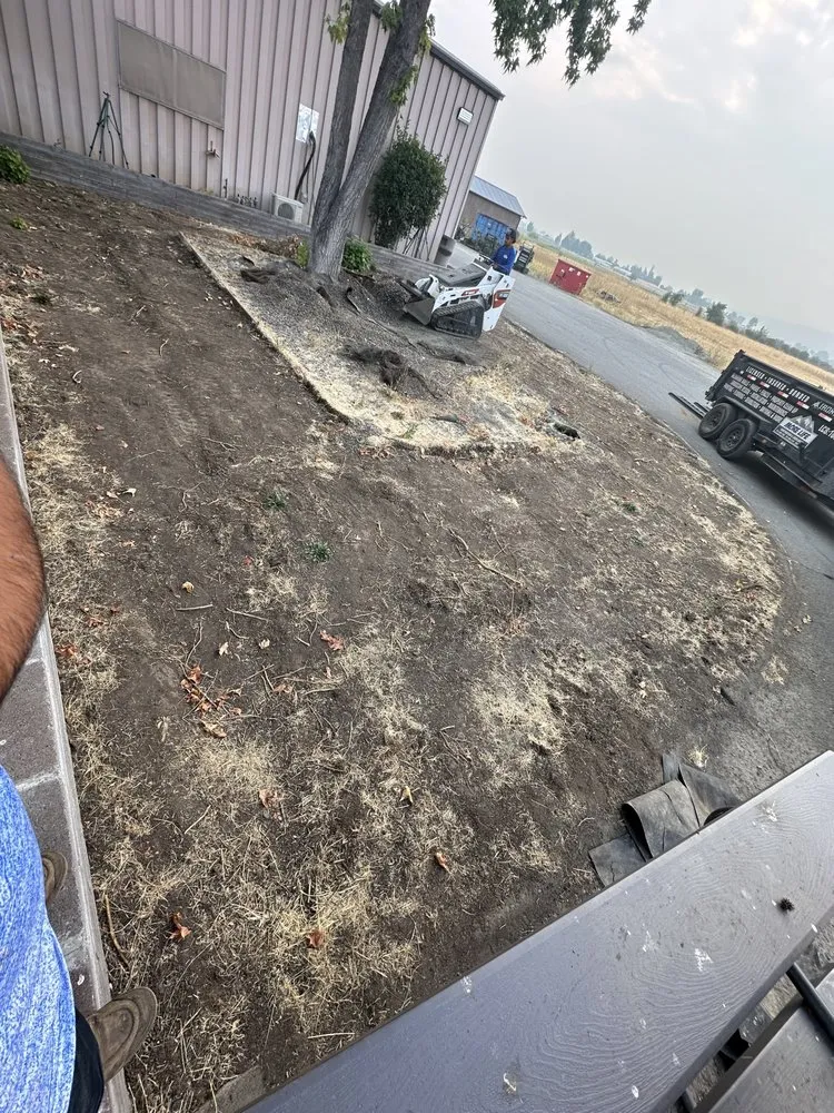 Slide of More life construction & Landscaping