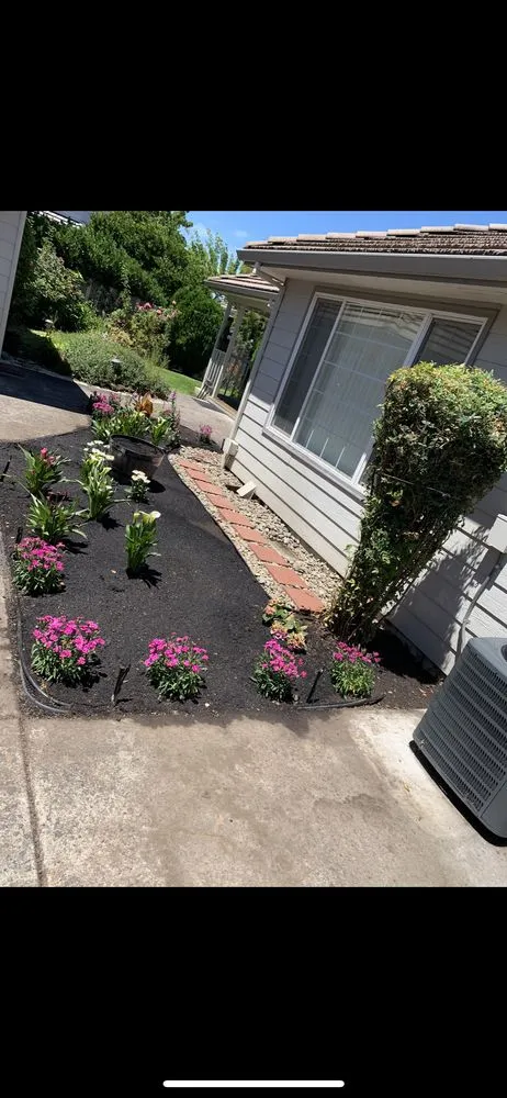 Slide of More life construction & Landscaping