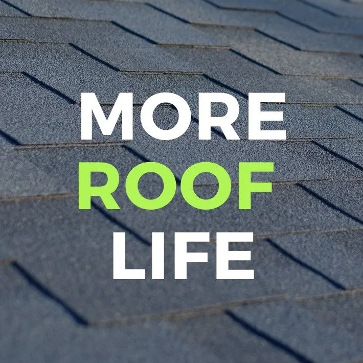 Slide of More Roof Life